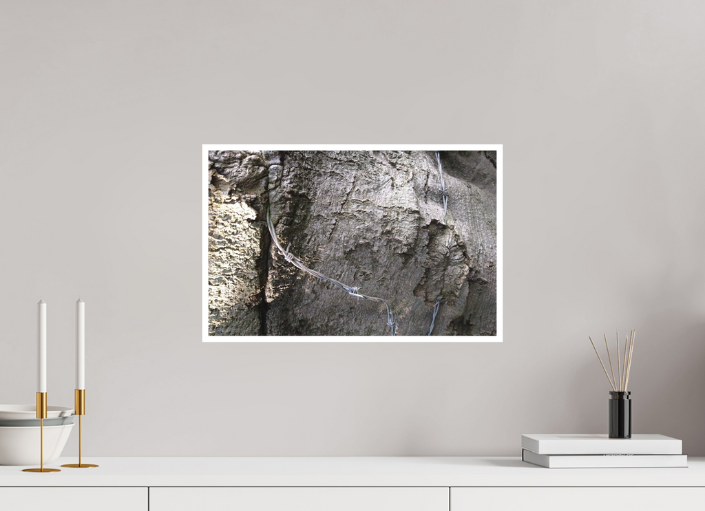 46.6 x 30 cm, Fine Art Print giclee Wire