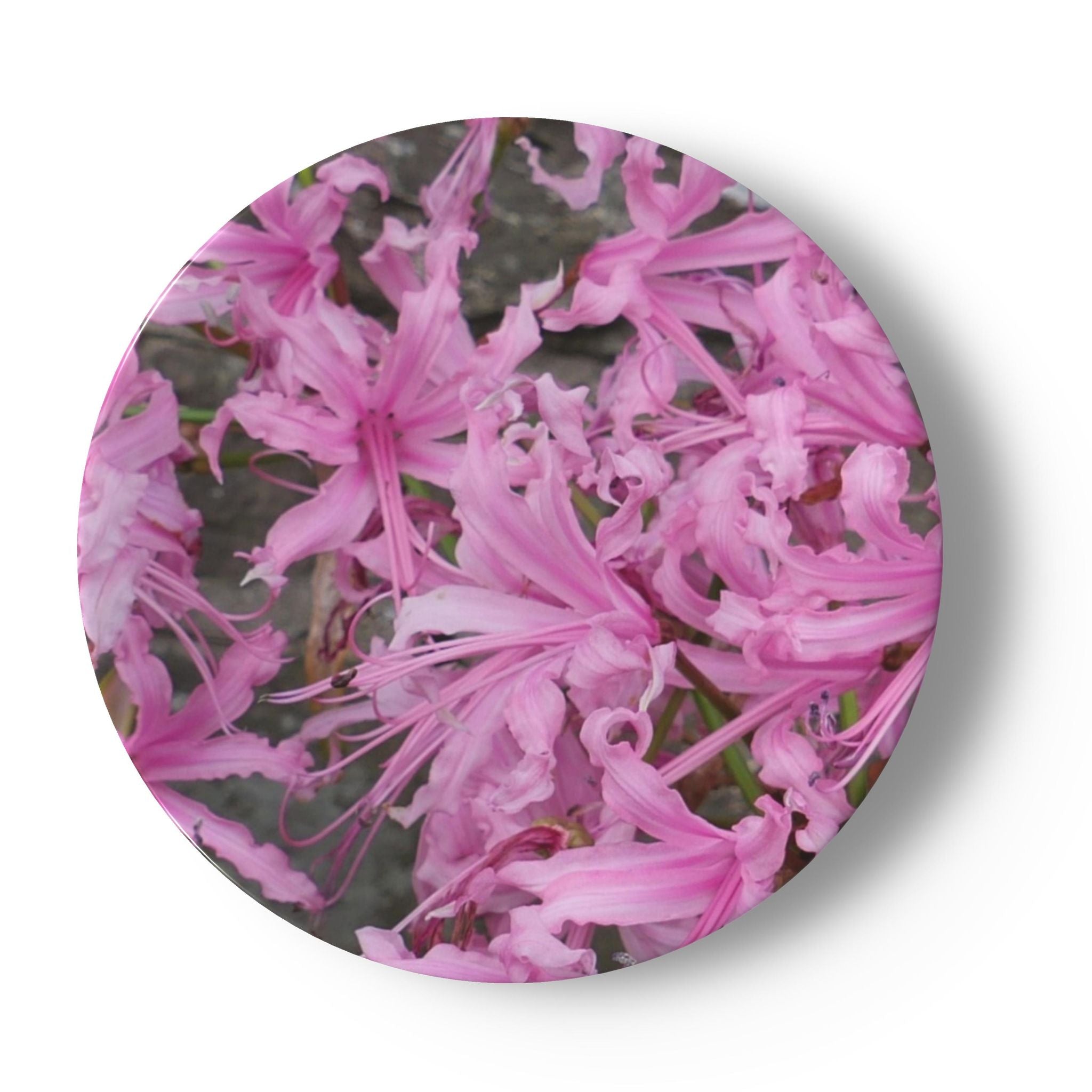 Broughton ceramic tea plate