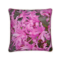 Broughton cushion