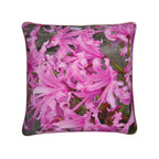 Broughton cushion