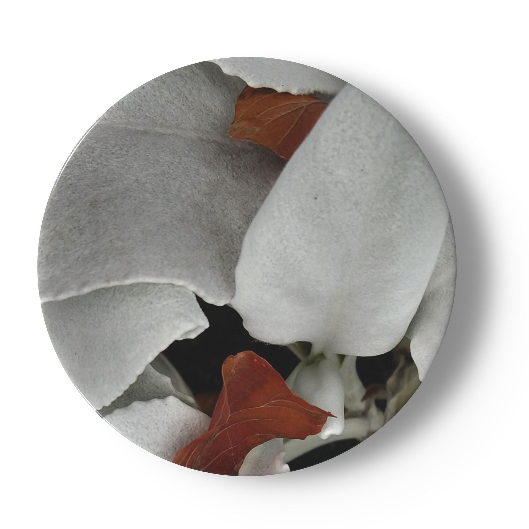 Contrasting leaves tea plate