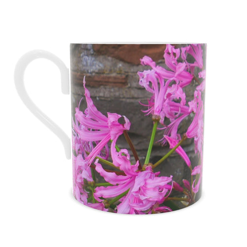 Broughton Bone China Large Mug