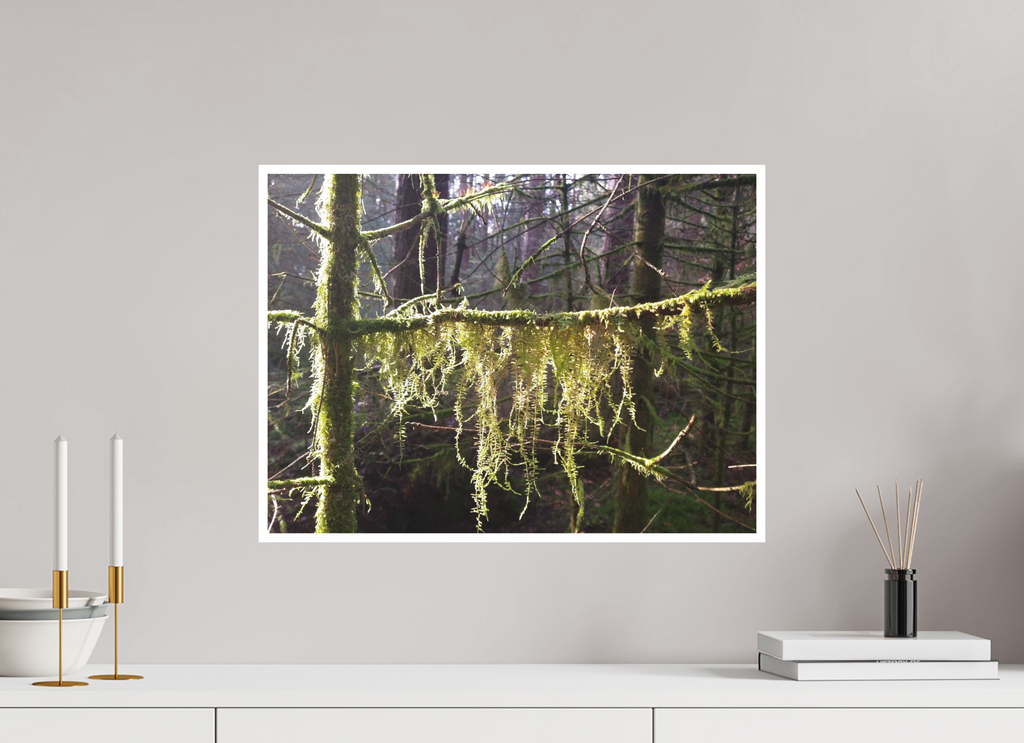 54.4 x 40 cm, Fine Art Print giclee Passemonterie