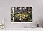 54.4 x 40 cm, Fine Art Print giclee Passemonterie
