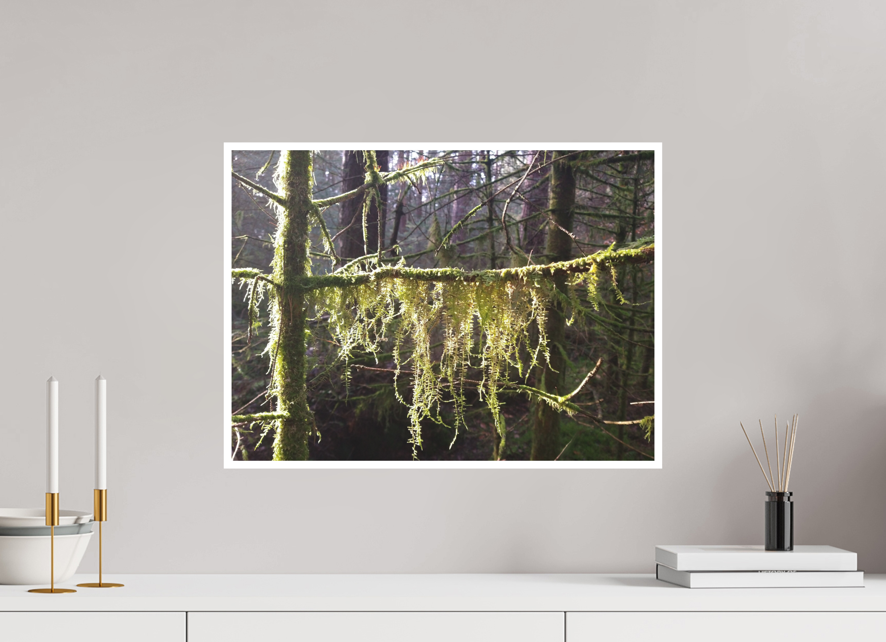 54.4 x 40 cm, Fine Art Print giclee Passemonterie