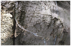 Main image Wire