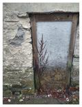 Main image Window #1