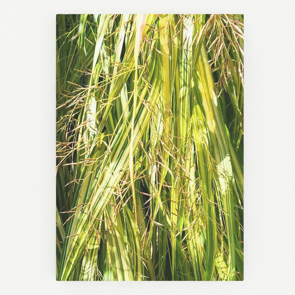 Grasses notebook