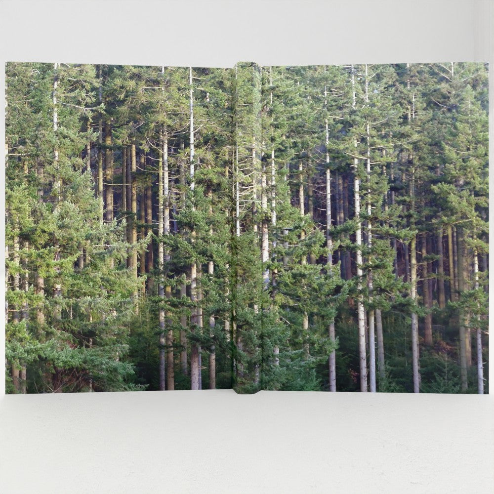 Doach notebook