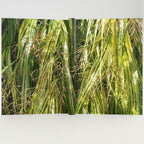 Grasses notebook