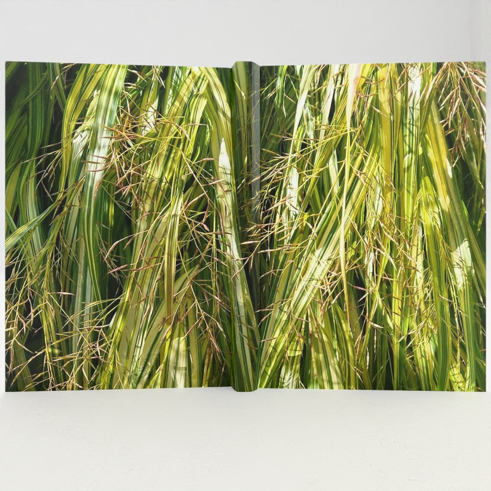 Grasses notebook