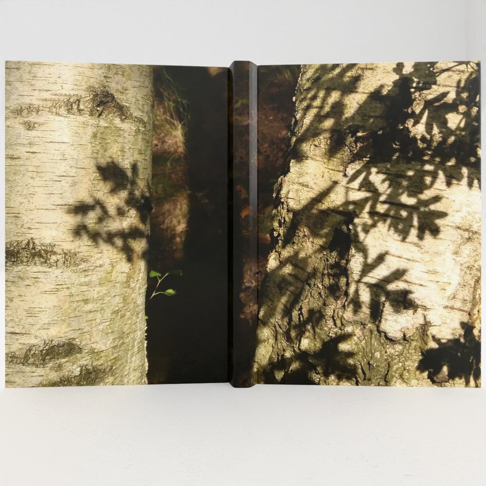 Light + dark notebook