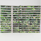 Cattle grid notebook