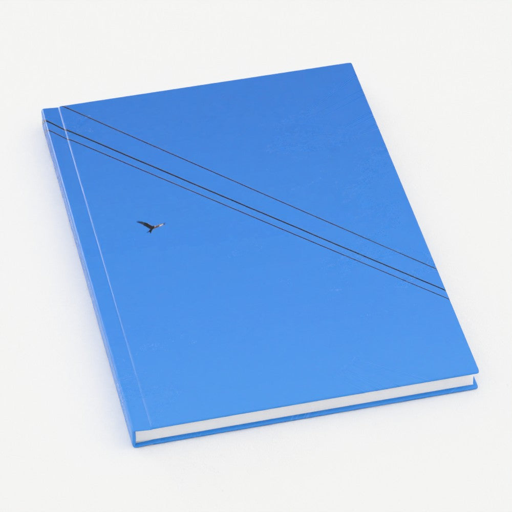 Red Kite, blue sky notebook