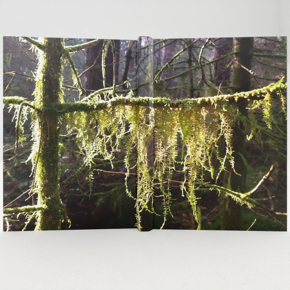 Passemonterie notebook