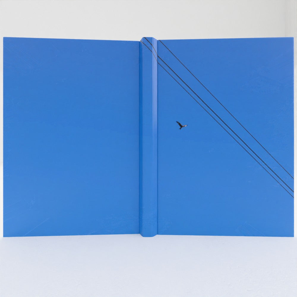 Red Kite, blue sky notebook