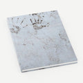 Plensa notebook