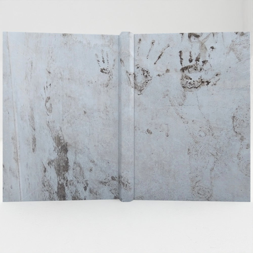 Plensa notebook