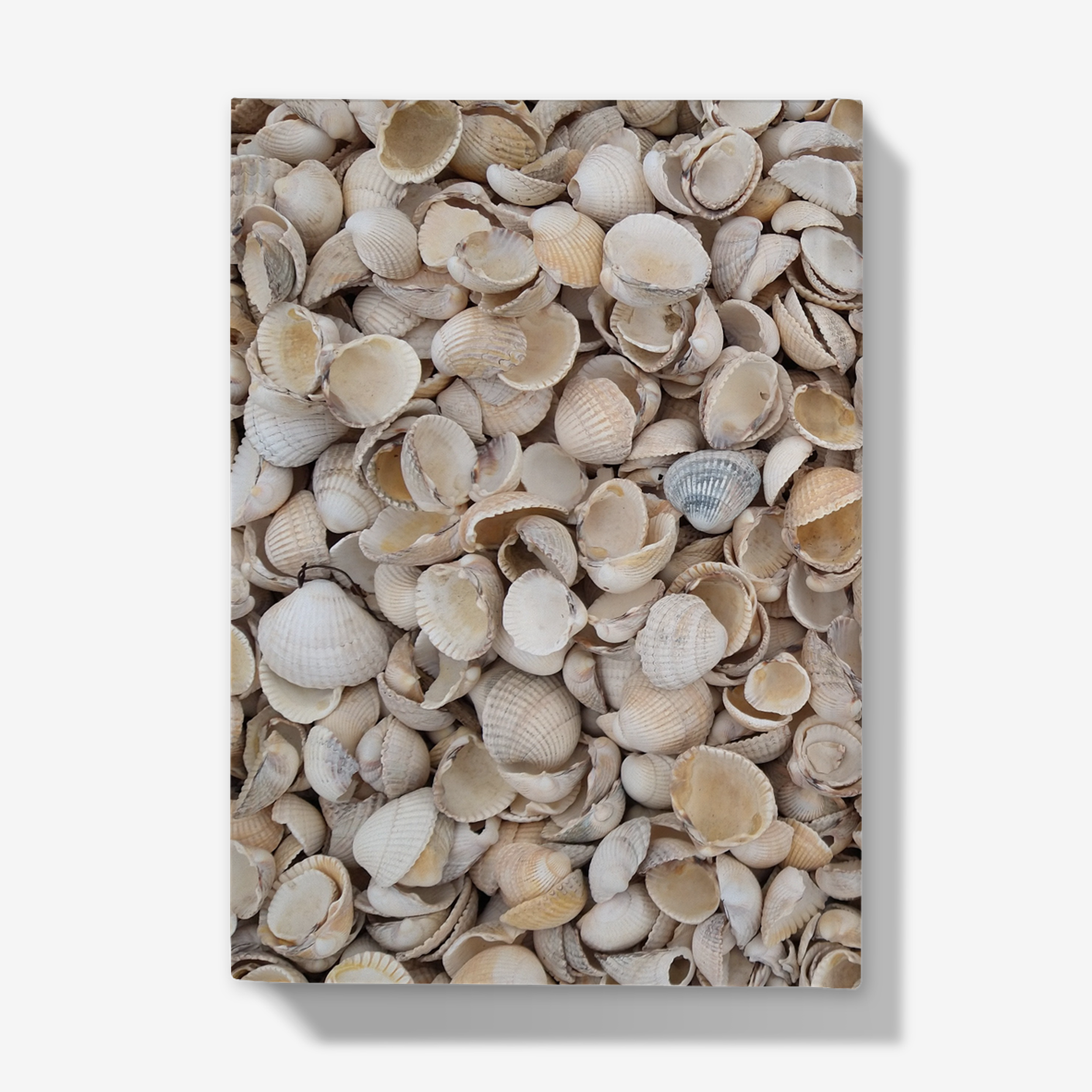 Kippford notebook